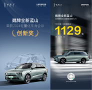 权威认证安全车身!魏牌全新蓝山荣获2024轻量化车身会议创新奖